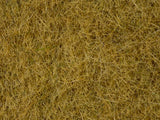 Noch 07101 - Wild Grass - Beige (6mm)