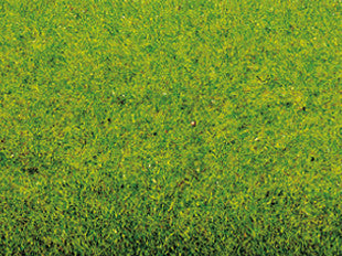 Noch 00020 Grasmat Lente Weide – 300x100 Cm, Perfect Voor Modelbouwlandschappen