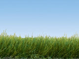 Noch 07090 - Wild Grass - Meadow (6mm) (100g Tub)