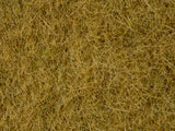 Noch 07091 - Wild Grass - Beige (6mm) (100g Tub)