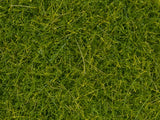 Noch 07112 - Wild Grass - XL - Light Green (12mm) (40g)