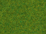 Noch 08314 - Scatter Grass - Ornamental Lawn (2.5mm) (20g)