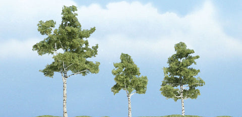 TR1605 - Trees - Paper Birch 3pc (3.81cm-6.98cm)