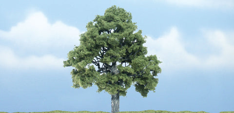 TR1615 - Tree - Beech 1pc (10.1cm)