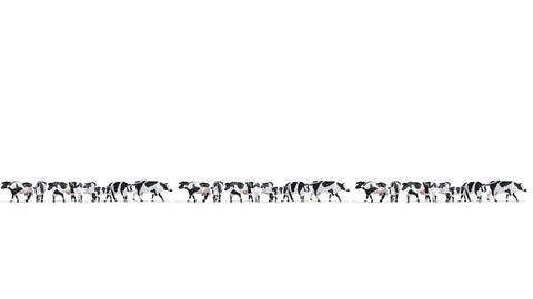 Noch 16164 - XL Figure Set - Black and White Cows (HO Scale)