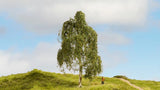 Noch 20120 - Silver Birch Tree (18cm)