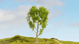 Noch 20125 - Downy Birch Tree (21cm)