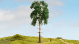 Noch 20141 - Pine Tree (18cm)