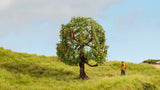Noch 20145 - Apple Tree (8cm)