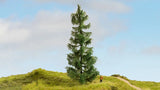 Noch 20190 - Spruce Tree (19cm)