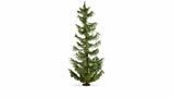 Noch 20191 - Spruce Tree (22cm)