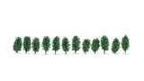 Noch 21547 - Conifer Hedge