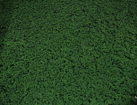Ground Up - Foliage - Dark Green Resealable Bag 395cm3