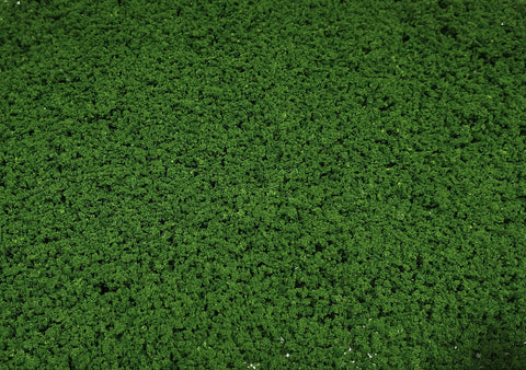 Ground Up - Foliage - Medium Green Resealable Bag 395cm3
