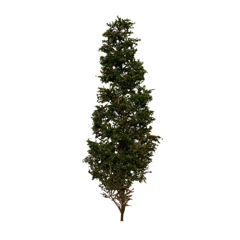 Realm Scale Scenics - RSC05 - Pine Tree (12cm)