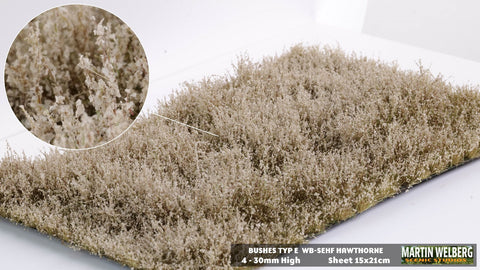 WB-SEHF - Bushes - Type E - Hawthorne