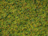 Noch 07073 - Grass Blend - Cow Pasture (50g)