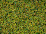 Noch 07077 - Master Grass Blend - Cow Pasture (2.5 - 6mm) (100g Tub)