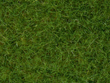 Noch 07092 - Wild Grass - Light Green (6mm) (100g Tub)