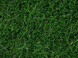 Noch 07094 - Wild Grass - Dark Green (6mm) (100g)