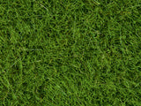 Noch 07104 - Wild Grass - Bright Green (Discontinued)