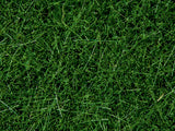 Noch 07106 - Wild Grass - Dark Green