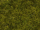 Noch 07110 - Wild Grass XL - Meadow (12mm) (40g)