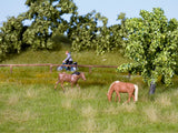 Noch 07403 - Nature - Summer Meadow