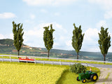Noch 07420 - Nature - Rapeseed/Canola Field