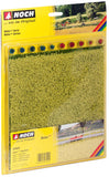 Noch 07420 - Nature - Rapeseed/Canola Field