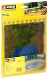 Noch 07442 - Nature - Swimming Lake