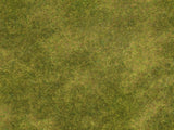 Noch 07472 - Nature - Natural Meadow