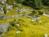 Noch 07472 - Nature - Natural Meadow