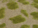Noch 07474 - Nature - Grass Steppe