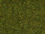 Noch 08152 - Scatter Grass - Meadow (2.5mm) (120g)