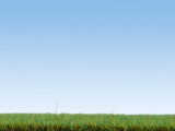 Noch 08152 - Scatter Grass - Meadow (2.5mm) (120g)