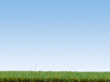 Noch 08157 - Scatter Grass - Forest Floor (2.5mm) (120g)