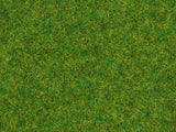 Noch 08214 - Scatter Grass - Ornamental Lawn (1.5mm) (20g)