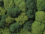 Noch 08610 - Lichen - Green Mix (35g)