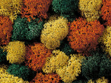 Noch 08630 - Lichen - Autumn Mix (35g)