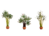 Noch 14024 - Deco Minis - Palms 3pc (HO Scale)