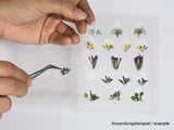 Noch 14050 - Laser-Cut Minis - Flower Garden - 17pc (HO Scale)