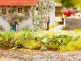 Noch 14136 - Butterbur (HO Scale) (Discontinued)