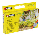 Noch 14136 - Butterbur (HO Scale) (Discontinued)