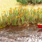 Noch 14140 - Laser-Cut Minis - Water Lilies (HO Scale)