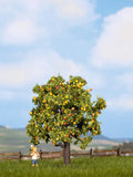 Noch 21560 - Apple Tree with Fruit