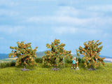 Noch 25114 - Orange Trees (HO Scale)