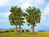 Noch 25170 - Beech Trees 2pc (13cm)