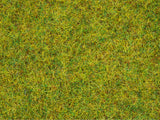 Noch 50190 - Scatter Grass - Summer Meadow (2.5mm) (100g)