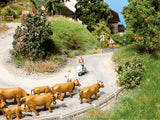 Noch 60820 - Road Construction Set